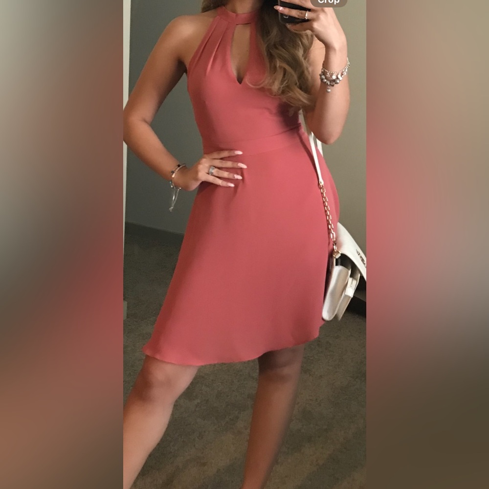 Express Pink Dress